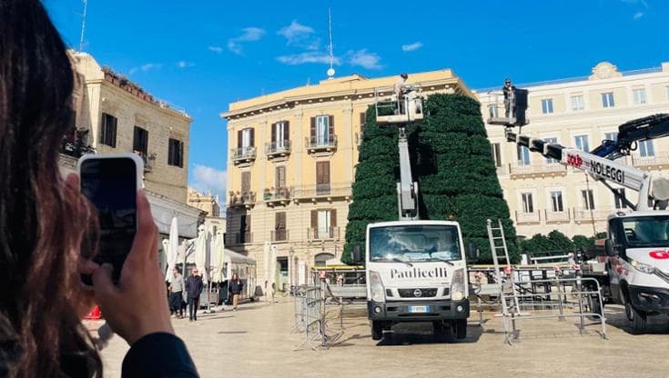 Immagine del post 14510 - Bari Bari, prende forma l’albero di Natale in piazza del Ferrarese: “Sarà acceso sabato 6 dicembre” - Bari