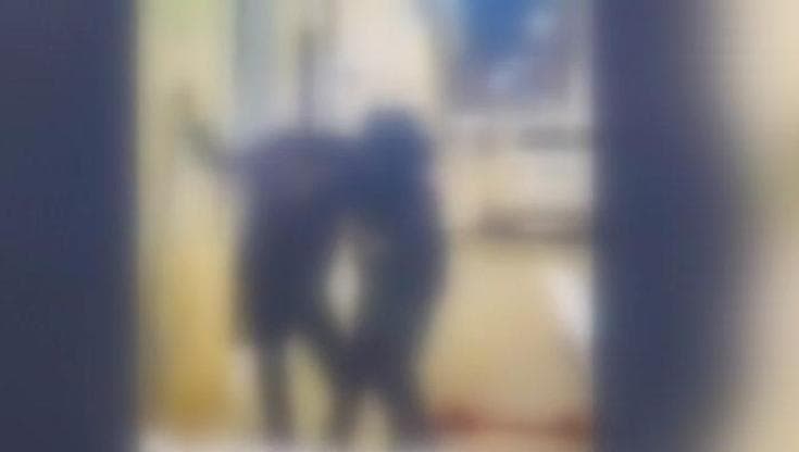 Immagine del post 15567 - Bari Trani, sedicenne prende a calci e pugni un uomo disabile mentre la fidanzata lo filma - Bari