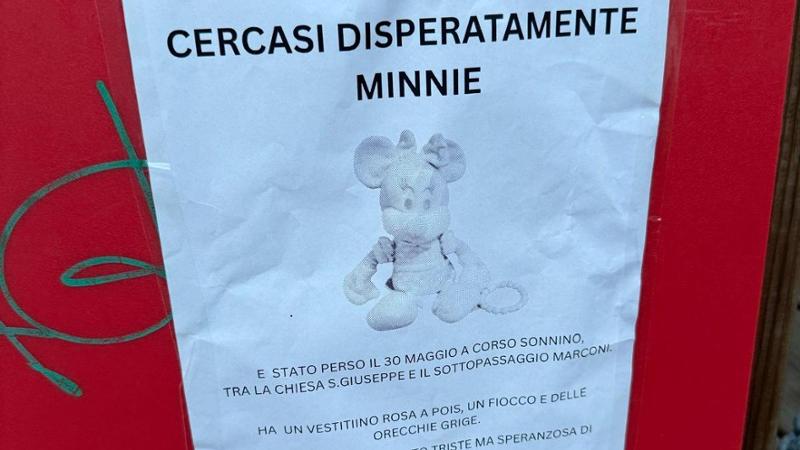 “Cercasi Minnie disperatamente”: manifesti a Madonnella per ritrovare il peluche di una bambina - Bari