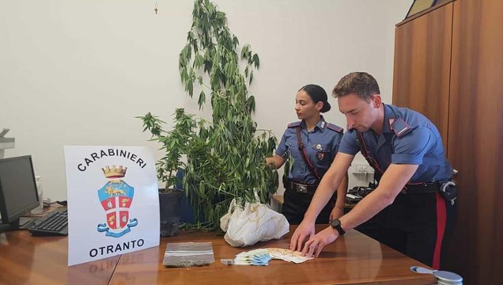 Immagine del post 9218 - Bari Aveva marijuana e finisce ai domiciliari con l’accusa di spaccio, ma era per uso medico: scarcerato - Bari