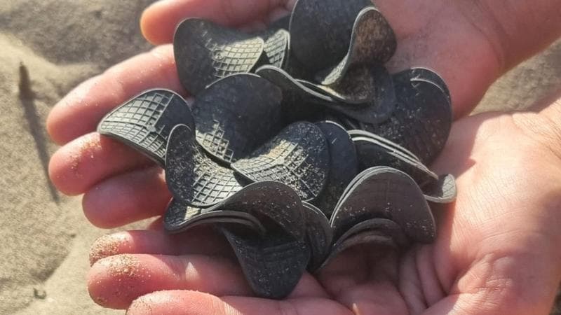 Immagine del post 23519 - Bari Puglia, la costa invasa da dischetti di plastica nera: “Un mistero, forse arrivano dall’Adige” - Bari