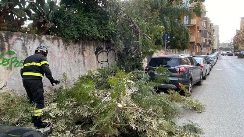 Maltempo, a Bari chiusi cimiteri e parchi per il vento forte. Danni per la caduta di rami - Bari