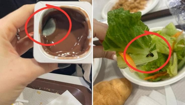 Muffa nel budino e insetti nell’insalata, il catalogo degli orrori delle mense a Bari: “Un incubo” - Bari