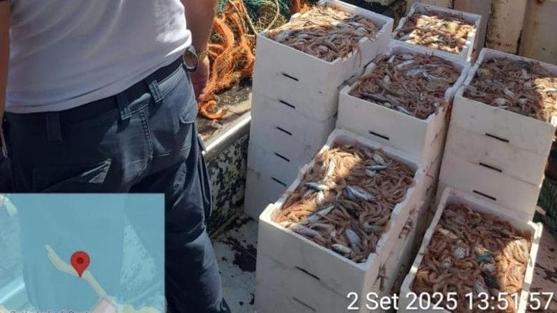Otranto, rete a strascico e 280 chili di pesce ottenuto illegalmente: blitz su un peschereccio - Bari
