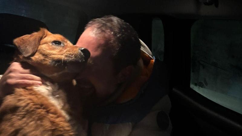 Cagnolina scappa spaventata dai botti, dopo tre giorni Betty è a casa: “Grazie per tutto l’amore” - Bari