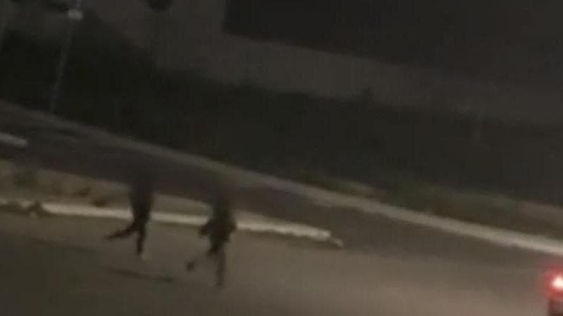 Immagine del post 15626 - Bari Blitz a scuola a Noicattaro, denunciati due ragazzini. Il sindaco: “Nessuna indulgenza” - Bari