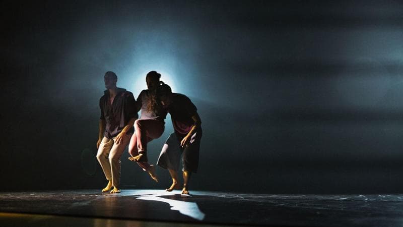 “Segnali di risonanza” debutta a Bari: Schiavulli in cerca dell’identità a passo di danza - Bari