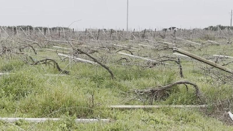 Immagine del post 3228 - Bari Taranto, emergenza racket nelle campagne: "Ripetuti attentati, ma non cambia mai nulla" - Bari