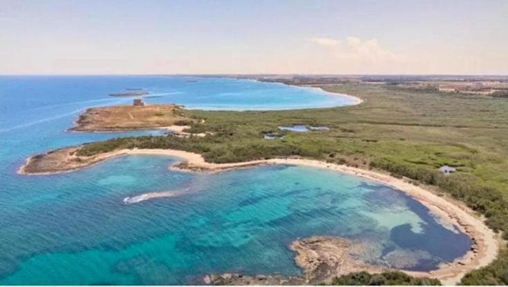 Immagine del post 19056 - Bari Torre Guaceto diventa l’oasi dei veleni: la nomina del nuovo presidente spacca il consorzio - Bari
