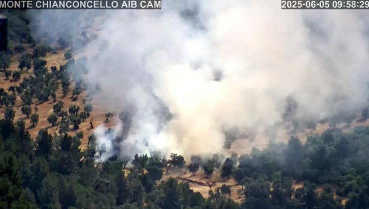 Immagine del post 8080 - Bari Gargano, parte la stagione degli incendi: fuoco in un bosco a Vieste. Chiesto Canadair - Bari