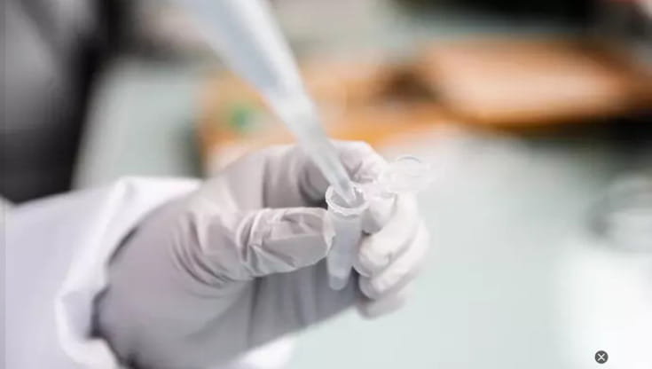 Immagine del post 21336 - Bari Il padre morì prima di riconoscerla, donna ottiene dopo anni test del dna: “Voglio il suo cognome” - Bari