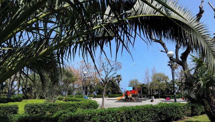 Immagine del post 22420 - Bari Bari fra le città più vulnerabili per le ondate di calore: “Gli alberi vanno triplicati” - Bari