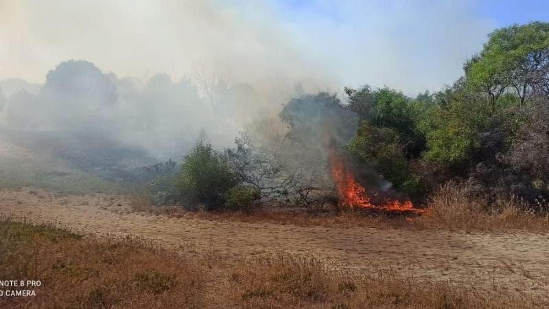 Incendi in Puglia, evacuati centinaia di turisti da hotel e campeggi a Santa Cesarea e Manfredonia - Bari