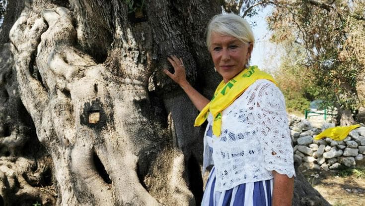 Helen Mirren: “Giovani e artisti insieme in Puglia per salvare gli ulivi: così fermeremo la xylella” - Bari