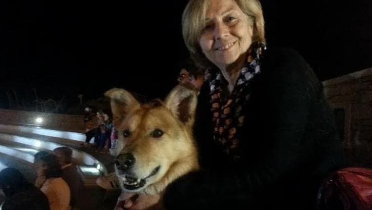 Immagine del post 25674 - Bari Cettina Antonino uccisa a 78 anni da un’auto pirata, addio alla prof editrice che animava Bisceglie - Bari