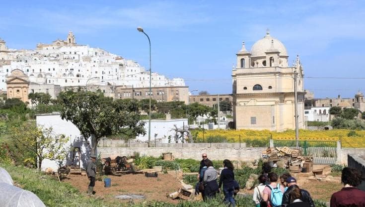 Immagine del post 16892 - Bari A lezione di orti urbani: l’uniBa lancia un corso. “Rendiamo più sostenibili le nostre città” - Bari
