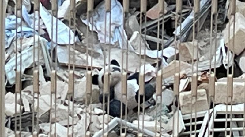 Bimbo rimasto senza casa dopo il crollo del palazzo a Bari, a scuola via alla catena di solidarietà - Bari