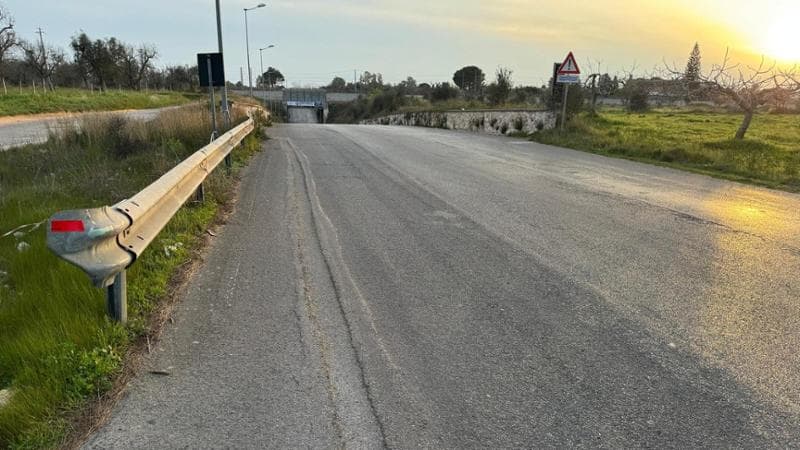 Salento, pioggia di banconote da un camion: gli automobilisti si fermano e raccolgono i soldi - Bari