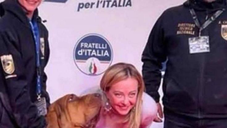 Bruno, cane eroe ucciso da un boccone con dei chiodi. Meloni: “Atto vile e codardo” - Bari