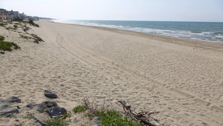 Immagine del post 12397 - Bari Tenta di violentare donna in spiaggia, arrestato un uomo di 44 anni. Lo aveva già fatto in passato - Bari