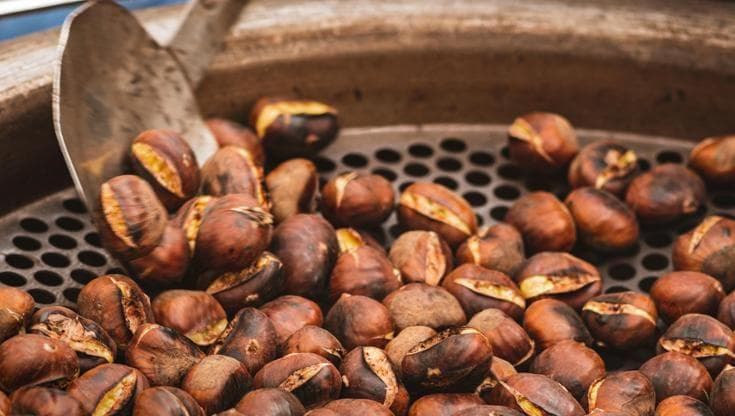 C’era una volta la raccolta delle castagne: crollo record oltre il 90% per siccità e parassiti - Bari