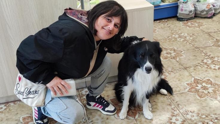 Immagine del post 14701 - Bari Scontro auto-moto a Mola di Bari, è morta Catia Spada: “Il suo impegno per i cani sarà da esempio” - Bari