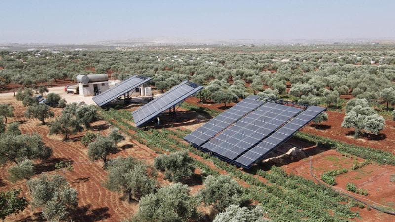 “Gli operai nei campi fotovoltaici del Salento non erano schiavi”. In appello condanne ridotte - Bari