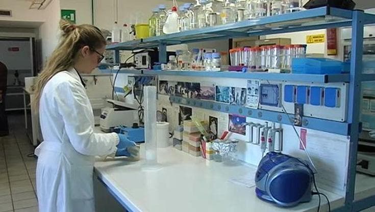 Immagine del post 5344 - Bari All’Istituto tumori di Bari 6 milioni di finanziamenti per la ricerca: “Ora terapie innovative” - Bari