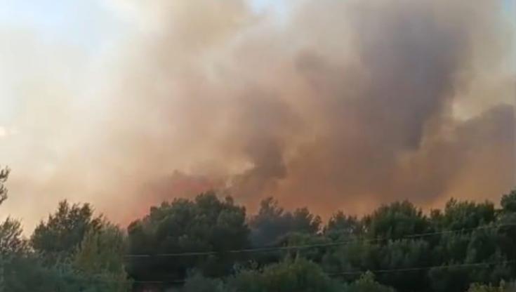 Immagine del post 9356 - Bari Vasto incendio a Lesina, interrotta circolazione treni tra Bari e Pescara: ritardi e cancellazioni - Bari