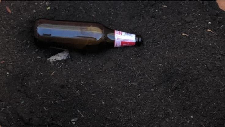 Immagine del post 13593 - Bari Rubano la piantina e lasciano una birra, la delusione del ragazzi dell’oratorio di Bari vecchia - Bari