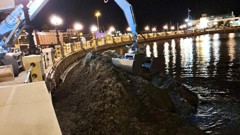 Bari, cumuli di posidonia sul lungomare: via alla rimozione. “Segno di buona salute del nostro mare” - Bari