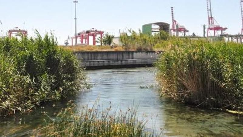 Taranto, la protesta degli ambientalisti contro progetto del rigassificatore: “Rischio invivibilità” - Bari