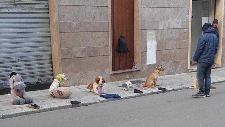 Immagine del post 6942 - Bari Cane maltrattato nel centro di Lecce per l’elemosina: in 15mila firmano la petizione per liberarlo - Bari