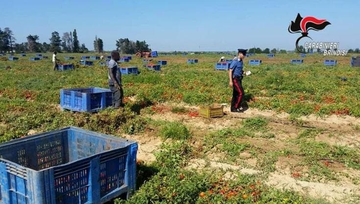 Immagine del post 21408 - Bari Arrestato un caporale a Brindisi: migranti costretti a bruciare rifiuti per scaldarsi in un tugurio - Bari