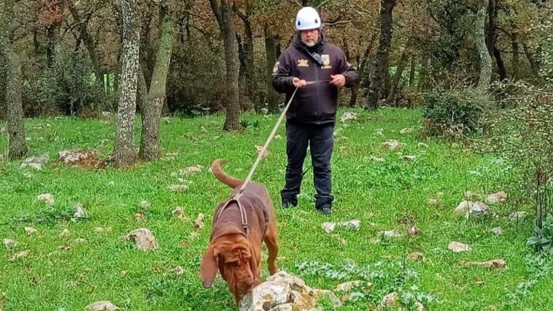 Immagine del post 9397 - Bari Cane Bruno ucciso da un boccone con i chiodi: due sospettati. Ipotesi vendetta contro l’istruttore - Bari