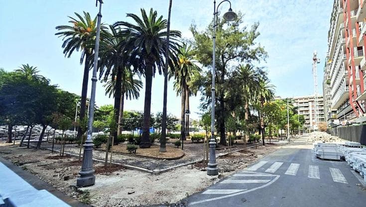 Immagine del post 10557 - Bari Bari, nuovi alberi anti-caldo in piazza Moro: resistono a inquinamento e cambiamenti climatici - Bari