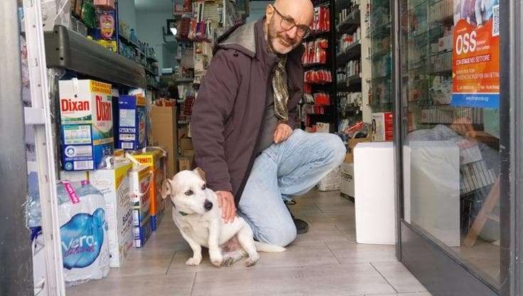 Immagine del post 14724 - Bari Jack, cagnolino-mascotte di via Trevisani: “Da 12 anni presenza fissa in negozio e sul marciapiede” - Bari