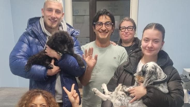Immagine del post 15767 - Bari Adotta due cani abbandonati in un mese, il gesto del calciatore Till Winkelmann commuove i volontari - Bari