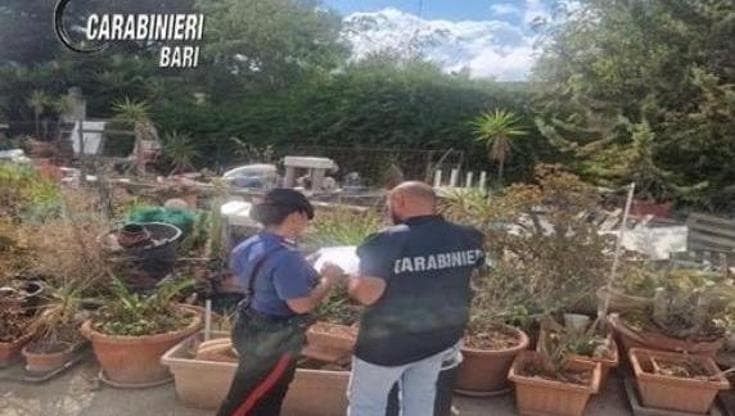 Immagine del post 16974 - Bari Bari, discarica abusiva di 12.500 metri quadri sequestrata a Carbonara: arrestato un uomo - Bari