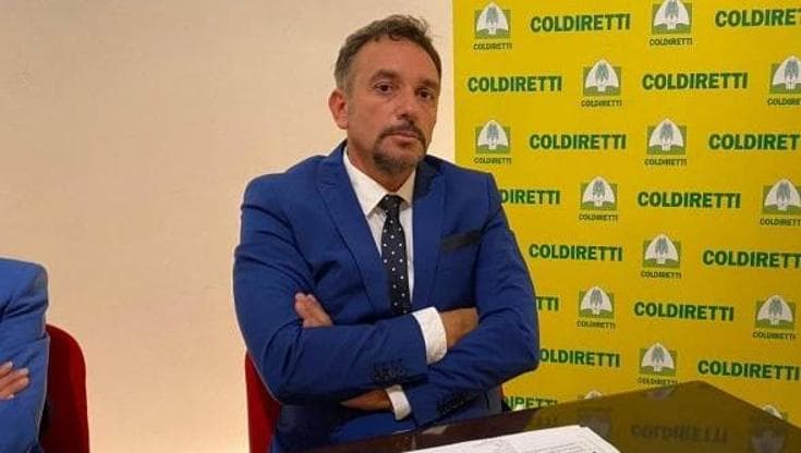 Immagine del post 5534 - Bari Giustizia, Giuseppe Gatti nuovo procuratore aggiunto a Bari. La nomina del Csm all’unanimità - Bari
