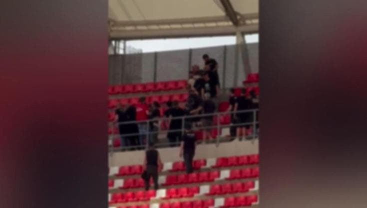 Immagine del post 7007 - Bari Prende a pugni un uomo in curva Nord durante Bari-Pisa: Daspo di otto anni a tifoso biancorosso - Bari