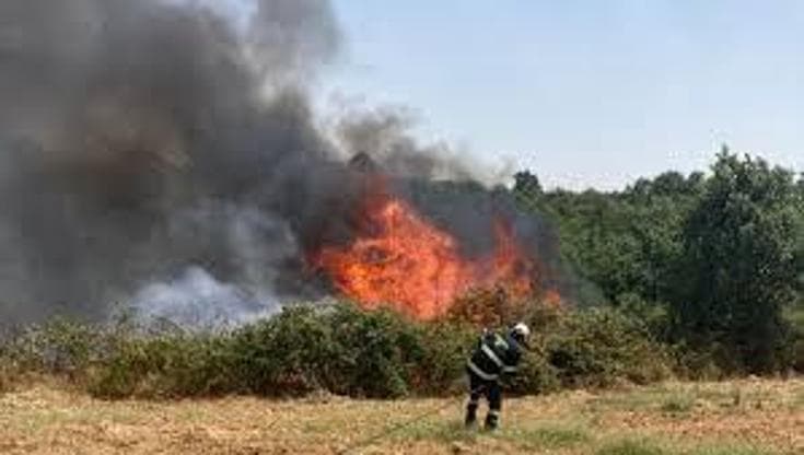 Incendi, ordinanza del Comune di Bari: “Entro il 14 giugno mettere in sicurezza i terreni” - Bari