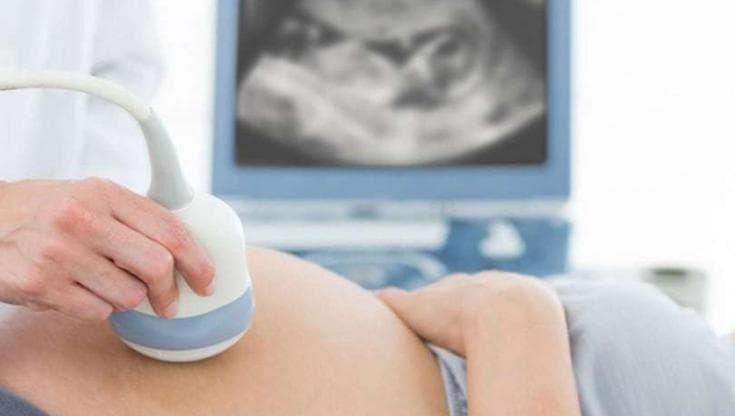 Operaia licenziata per le troppe assenze dopo aborto: ''Ingiurioso contarli come giorni di malattia” - Bari