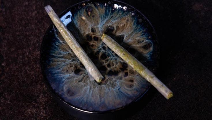 Immagine del post 21463 - Bari Uno spinello per cena, chef Andrea Miacola sperimenta il “finto joint”: “Non ha droga ma pistacchio” - Bari