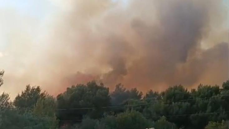 Immagine del post 9427 - Bari Il vento riaccende le fiamme nel Foggiano, chiusa linea Adriatica. Treni in ritardo fino a un’ora - Bari