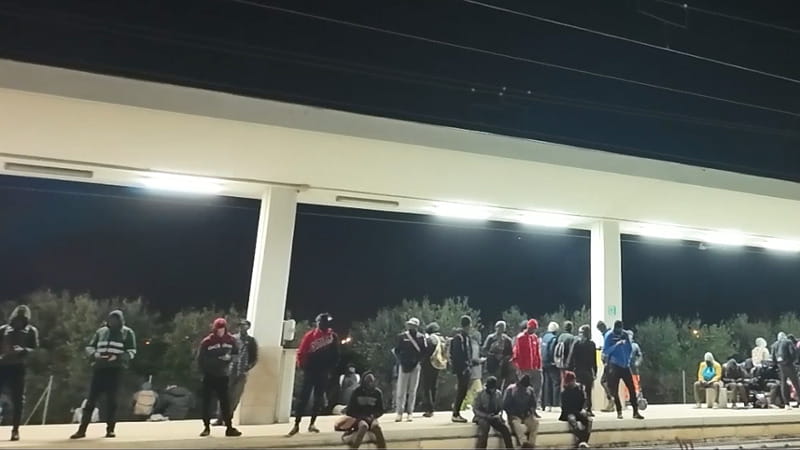 L’odissea dei migranti del Cara sfruttati dai caporali, in marcia all’alba per raccogliere le olive - Bari