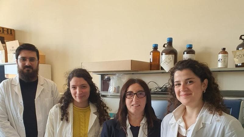 Immagine del post 3581 - Bari C’è dna ellenico nella popolazione della Grecìa salentina: lo studio svela un legame oltre la lingua - Bari