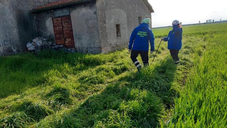 Immagine del post 18087 - Bari Elena Rebeca Burcioiu, ricerche nei casolari con i cani molecolari per la 21enne scomparsa a Foggia - Bari