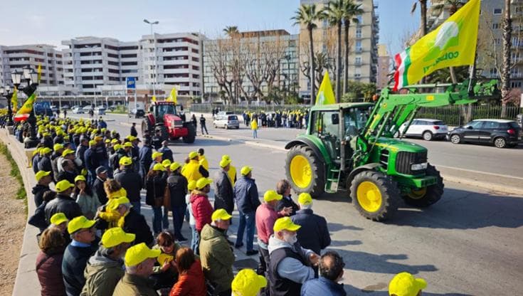 Bari, 8mila agricoltori sfilano in protesta sul lungomare in tilt: "Le nostre campagne al collasso" - Bari