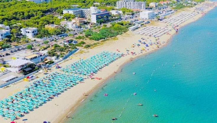 Immagine del post 10620 - Bari Scandale (Pugliapromozione): “A luglio +2% di turisti, ma la crisi allontana gli italiani” - Bari